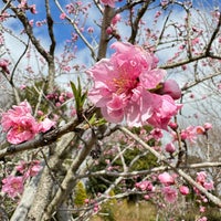 Photo taken at Kana Garden by Nishida N. on 3/1/2024