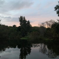 Photo taken at University of South Florida Sarasota-Manatee by TheGreenGirl on 11/9/2020