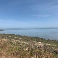 Photo taken at Coyote Point County Park by TheGreenGirl on 4/2/2022