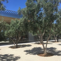 Photo taken at Apple Park Visitor Center by TheGreenGirl on 7/26/2018