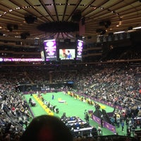 Photo taken at 136th Westminster Kennel Club Dog show by Michelle A. on 2/13/2013