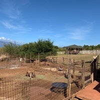 รูปภาพถ่ายที่ Lahaina Animal Farm โดย Joe S. เมื่อ 9/10/2019
