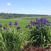 Photo taken at Vernon Vineyards Winery &amp;amp; Tasting Room by Colleen M. on 6/5/2016