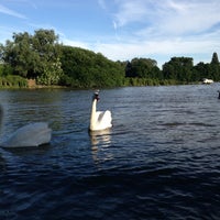 Photo taken at Chiswick Eyot by LifeAndStyleUK on 6/30/2013