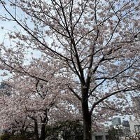 Photo taken at Hitotsugi Park by K on 3/31/2022