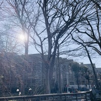 Photo taken at 杉並区立 中央図書館 by NORI on 1/18/2022