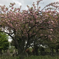 Photo taken at 青山墓地中央交差点 by NORI on 4/14/2018