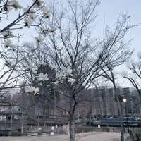 Photo taken at 杉並区立 中央図書館 by NORI on 3/14/2022