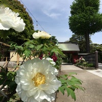 Photo taken at 安養寺 by NORI on 4/25/2016