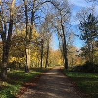 Photo taken at Bois de Vincennes by Ronald V. on 11/25/2019