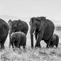 Photo taken at Elephant Ear by Alexandra B. on 2/13/2015