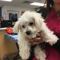 Photo taken at Gotham Veterinary Center by Gotham V. on 1/23/2017