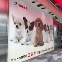 ペットのコジマ 六本木店 六本木 3 Tips ペットのコジマ 六本木店 六本木 3 Tips