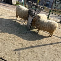 Photo taken at Tennoji Zoo by 矛盾 on 3/13/2024