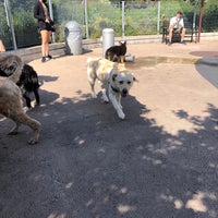 Photo taken at Tribeca Dog Run by Laura P. on 5/25/2020