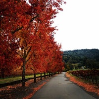 Das Foto wurde bei Alexander Valley Vineyards von Rick B. am 11/23/2011 aufgenommen
