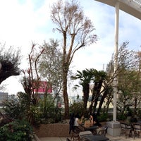 アトレ空中庭園 Garden In 渋谷区 アトレ空中庭園 Garden In 渋谷区