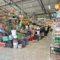Photo taken at Mercado de San Juanico by Carolina C. on 3/9/2024