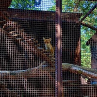 Photo taken at Zoo Malá Chuchle by Monika K. on 9/13/2020