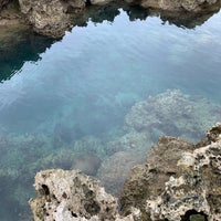 熱帯魚の家 Praia 熱帯魚の家 Praia
