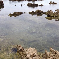 熱帯魚の家 Beach 熱帯魚の家 Beach