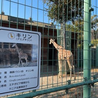 Photo taken at 桐生が岡動物園 by S.オタカ on 11/3/2023