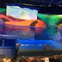 Photo taken at Dolphin Adventure Theater by Brooks J. on 12/11/2017