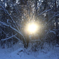 Photo taken at Калужский бор by Поля П. on 1/24/2016