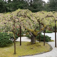 Photo taken at Portland Japanese Garden by Alan B. on 4/12/2024