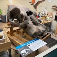 Photo taken at Carnegie Museum of Natural History by Tom M. on 3/10/2024