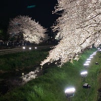 Photo taken at 野川桜ライトアップ by Hideki.I on 4/4/2019