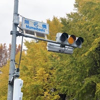 無名橋 1つのtip