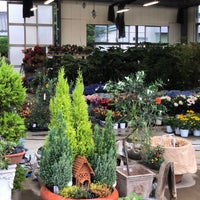 春花園bonsai美術館 江戸川区 東京都