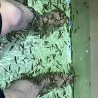 フィッシュスパ湯布院 Spa In 由布市 フィッシュスパ湯布院 Spa In 由布市