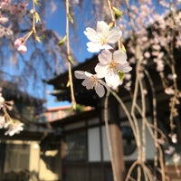 Photo taken at 独峰山 高楽寺 by ひ on 3/25/2020