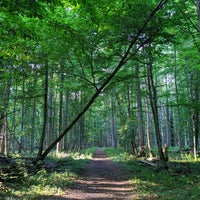 Das Foto wurde bei Białowieski Park Narodowy von Seth B. am 8/6/2020 aufgenommen