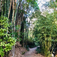 Photo taken at UCLA Mildred E. Mathias Botanical Garden by Srinath R. on 12/4/2021