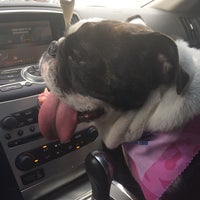 rock creek animal hospital