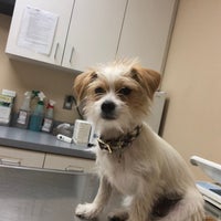 Photo taken at Overland Veterinary Clinic by Nancy J. on 7/24/2018