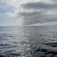 2/20/2022にNancy J.がSan Diego Whale Watchで撮った写真