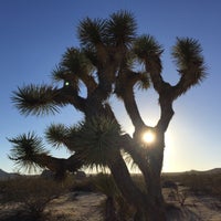 Photo taken at Joshua Tree National Park by Michael C. on 10/20/2016
