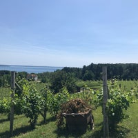 Снимок сделан в Ciccone Vineyard &amp;amp; Winery пользователем Gena V. 7/12/2019