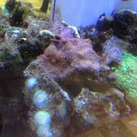 ペットワールドアミーゴ 高屋店 兼基45番地