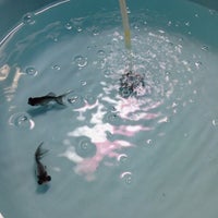 ペットワールドアミーゴ 高屋店 兼基45番地