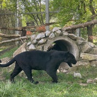 Photo taken at Sofia Zoo by Yuriy M. on 4/6/2024