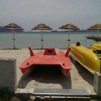 Golfo Aranci Ss Bar Ristorante Sulla Spiaggia Cerca 3