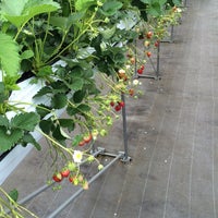 ファームスクエア 丹沢の森 秦野市 堀西1328 ファームスクエア 丹沢の森 秦野市 堀西1328