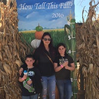 Photo taken at Treinen Farm by Rose D. on 10/23/2016