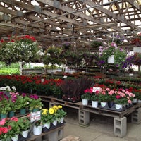 Hewitt Garden Center Latham Ny
