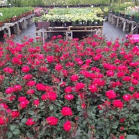 Hewitt Garden Center Latham Ny
